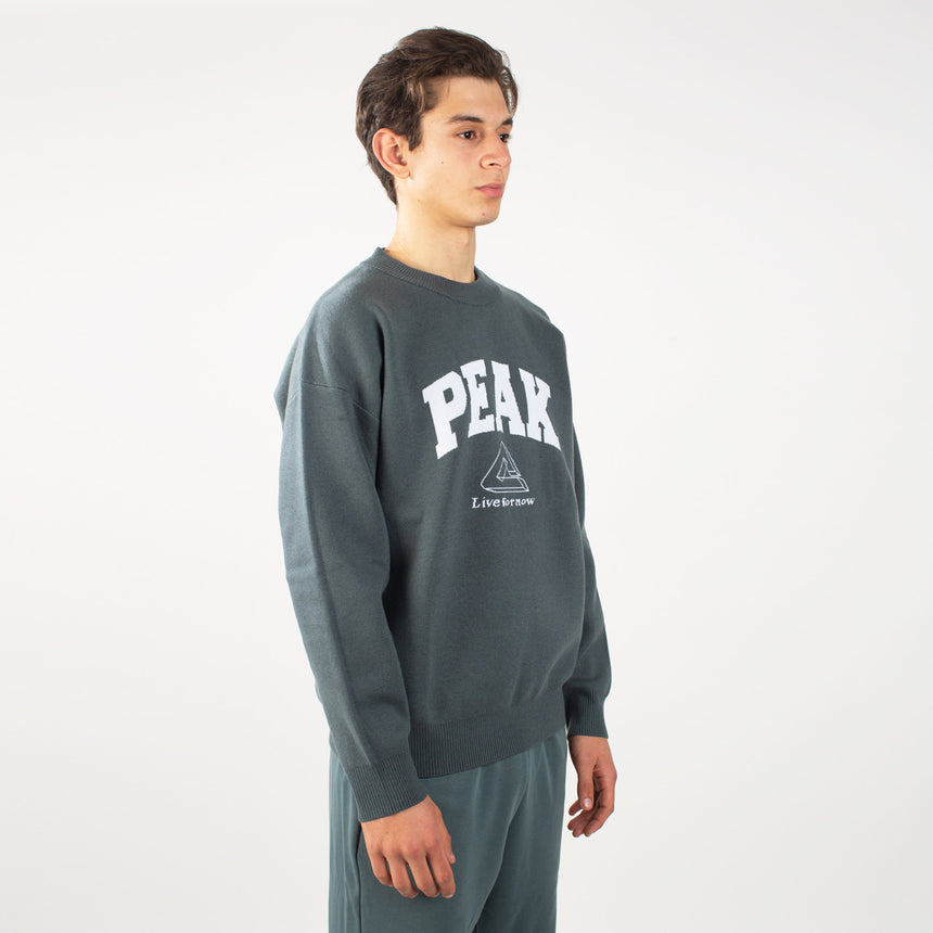 sweat-shirt PEAK gris porté par un homme, logo PEAK sur la poitrine, style sportif et confortable.
