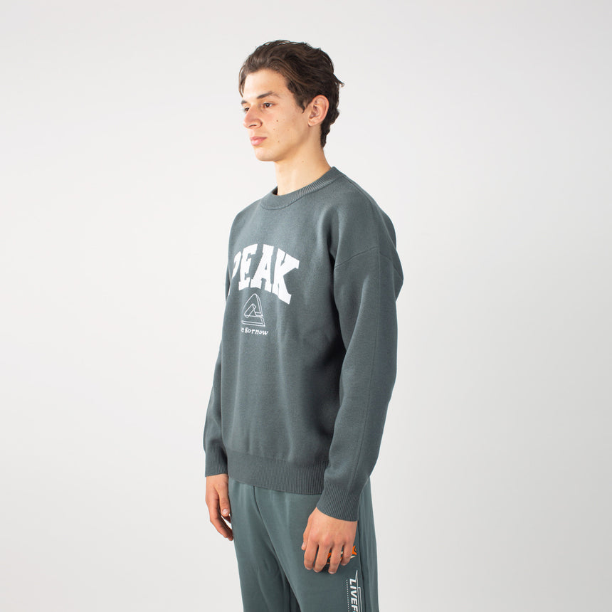 sweat-shirt PEAK gris porté par un homme, logo PEAK sur la poitrine, style sportif et confortable.