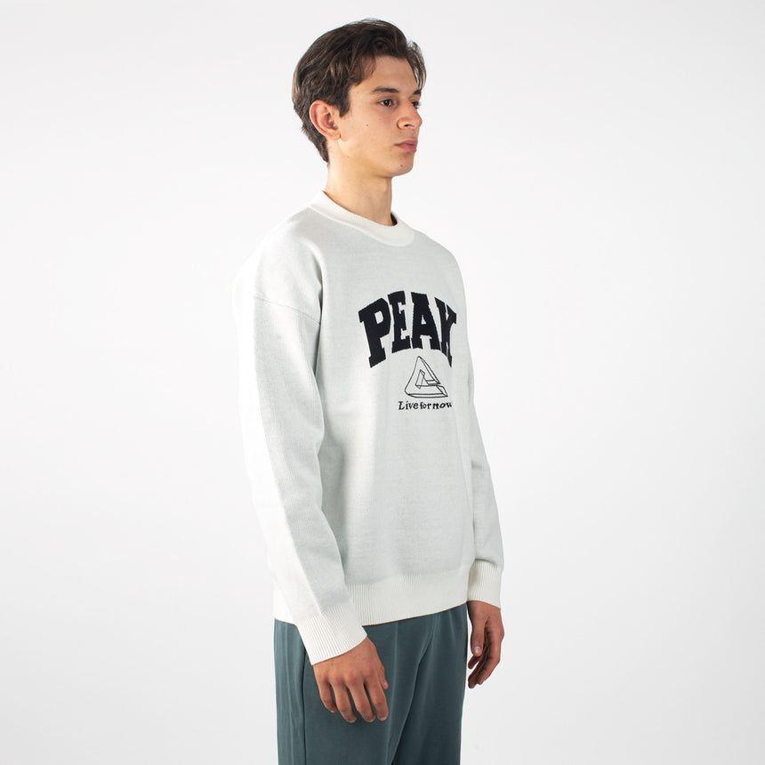 sweat-shirt PEAK blanc porté par un homme, logo noir PEAK sur la poitrine, style sportif et moderne.