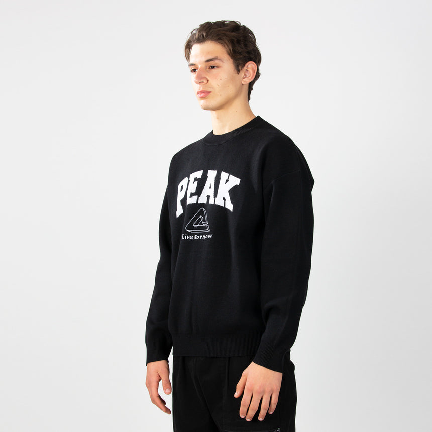sweat-shirt PEAK noir porté par un homme, logo PEAK sur la poitrine, style sportif et décontracté.