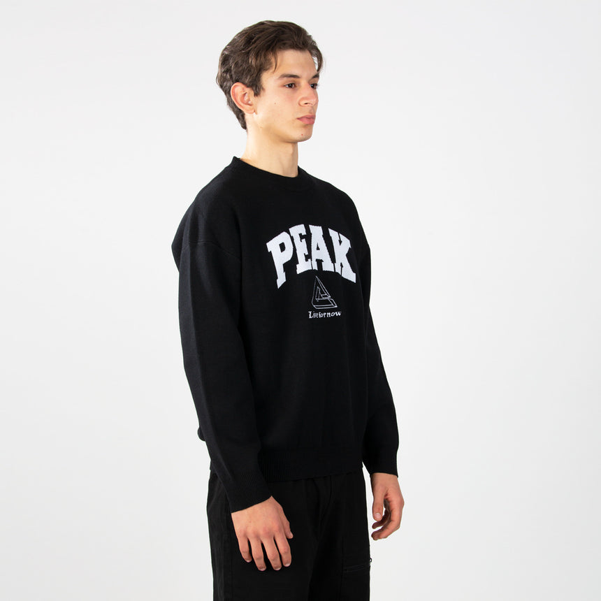 sweat-shirt PEAK noir porté par un homme, logo PEAK sur la poitrine, style sportif et décontracté.
