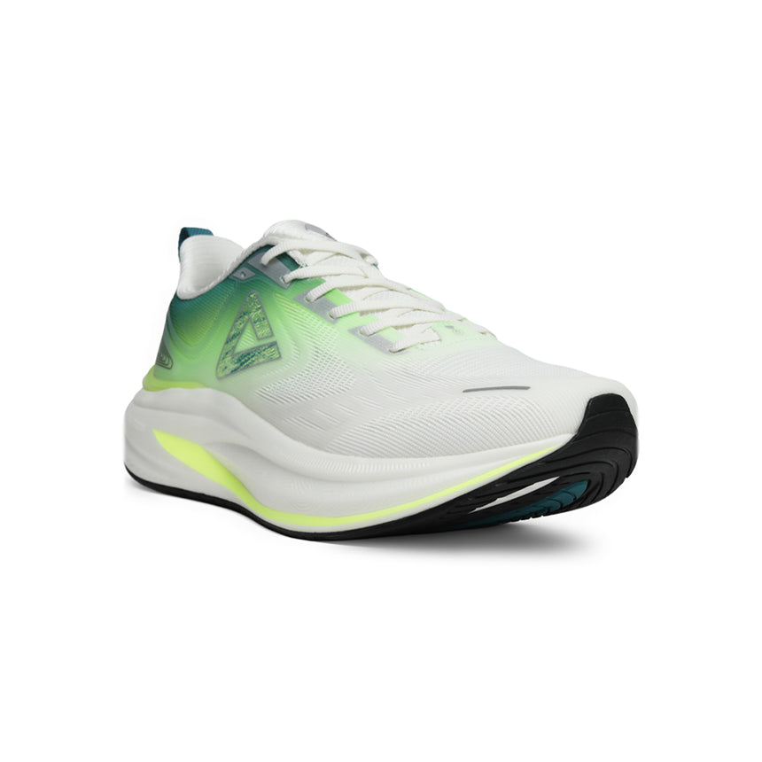 CHAUSSURE PEAK TAICHI 8.0