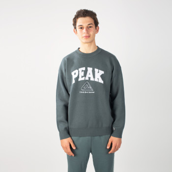 Sweart-shirts peak lfn Vert