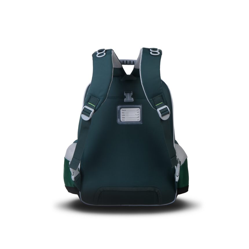 SB02-DINO