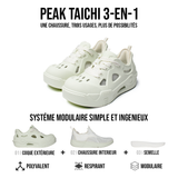 TAICHI SWITCH