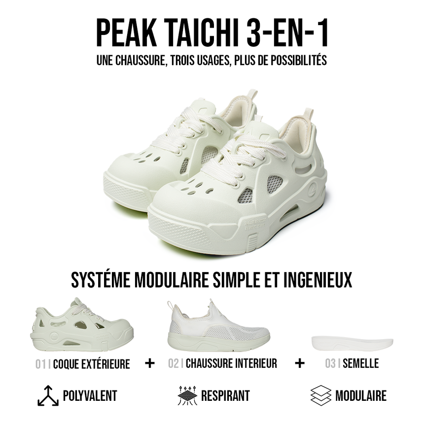 TAICHI SWITCH