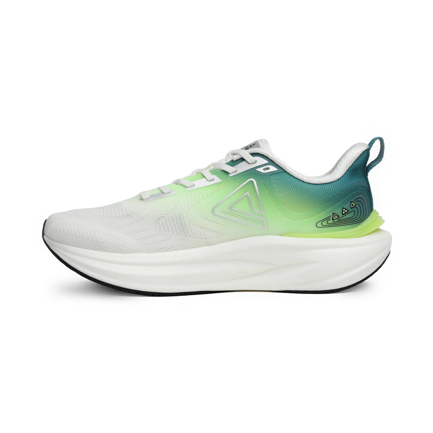CHAUSSURE PEAK TAICHI 8.0