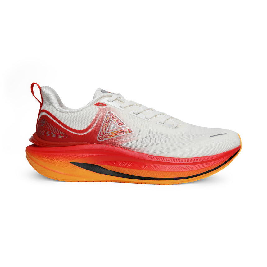 CHAUSSURE PEAK TAICHI 8.0