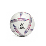BALLON DE FOOT