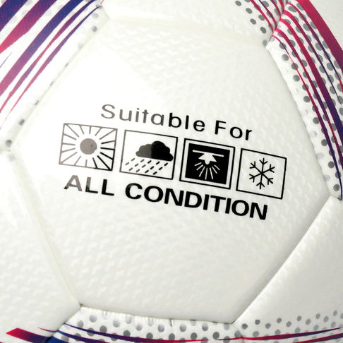 BALLON DE FOOT
