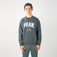 sweat-shirt PEAK gris porté par un homme, logo PEAK sur la poitrine, style sportif et confortable.