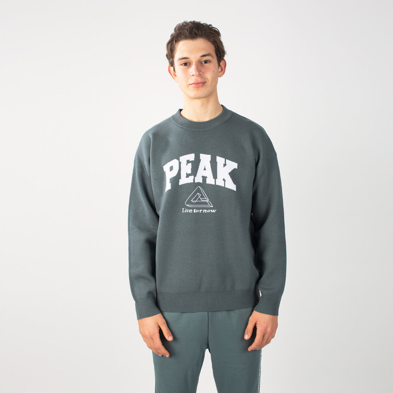 sweat-shirt PEAK gris porté par un homme, logo PEAK sur la poitrine, style sportif et confortable.