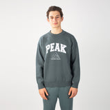sweat-shirt PEAK gris porté par un homme, logo PEAK sur la poitrine, style sportif et confortable.