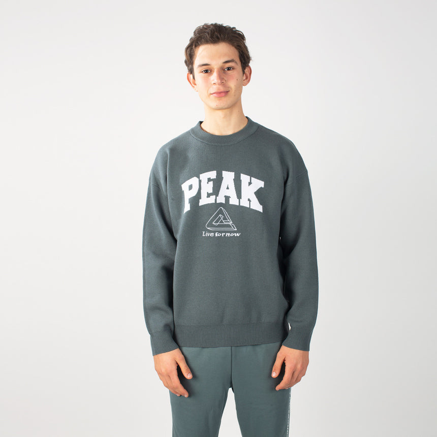 sweat-shirt PEAK gris porté par un homme, logo PEAK sur la poitrine, style sportif et confortable.