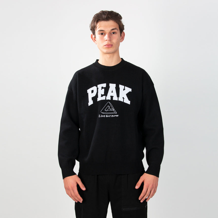 sweat-shirt PEAK noir porté par un homme, logo PEAK sur la poitrine, style sportif et décontracté.