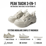 TAICHI SWITCH