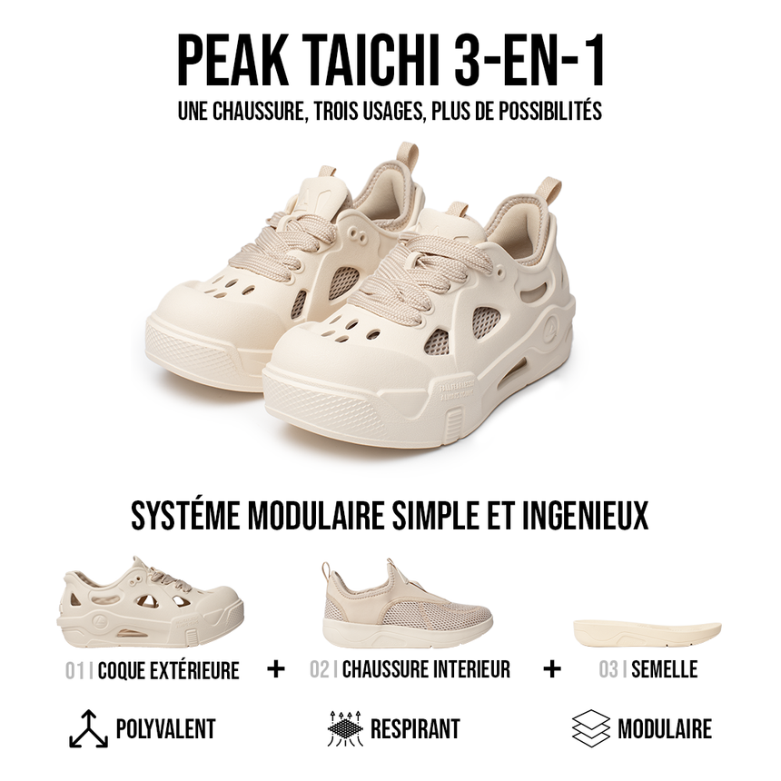 TAICHI SWITCH